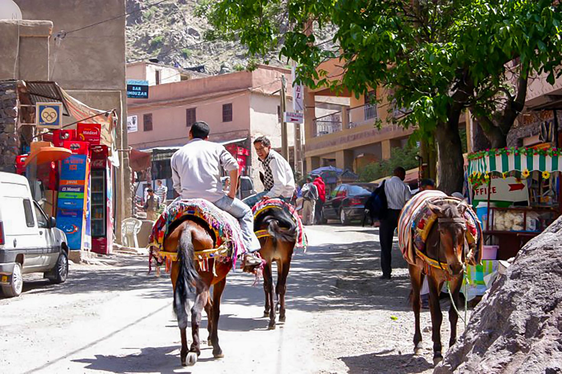Atlas Mountains & Imlil Day Tour